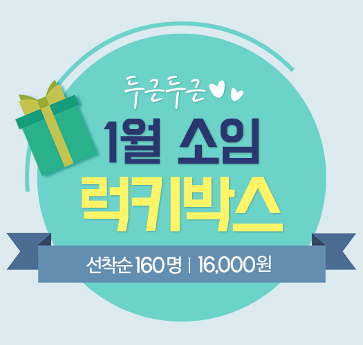 January 2017 Lucky Box