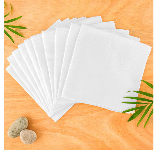 [Natura Organic] 10 Bamboo Embossed Handkerchiefs