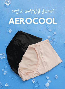 <font color="bb4b57"><b>[Summer Special Offer]</b></font><br> Aerocool no-line/ham panty